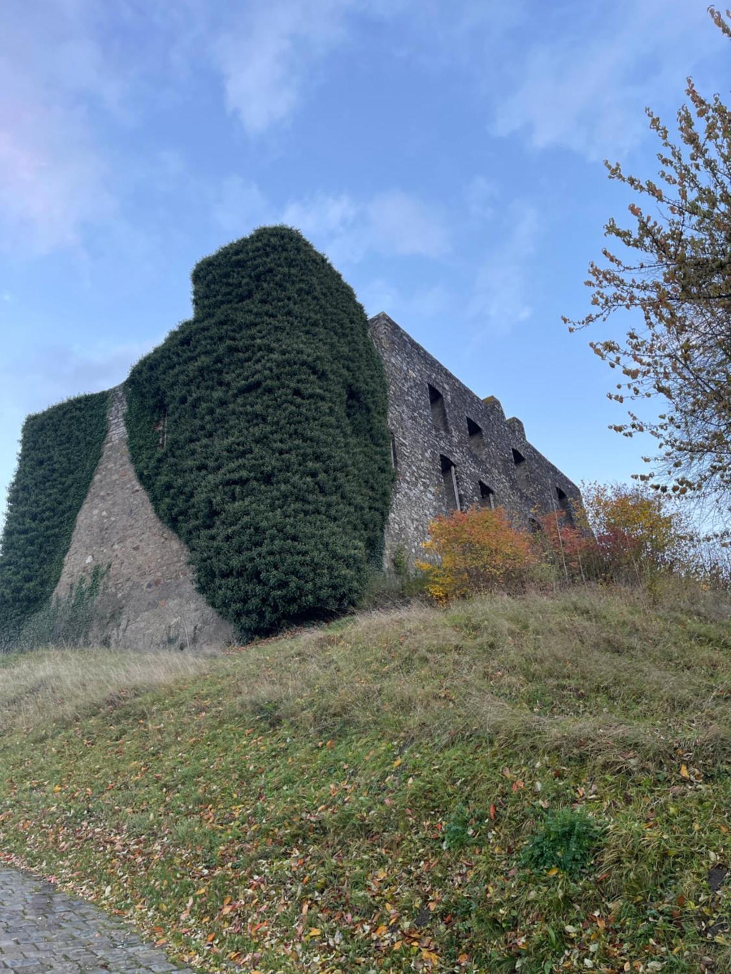 Ritterstube - Eifelstuben Mit Charme, Naehe See Und Burg, Aussergewoehnlich, Vulkaneifel 乌尔门 外观 照片