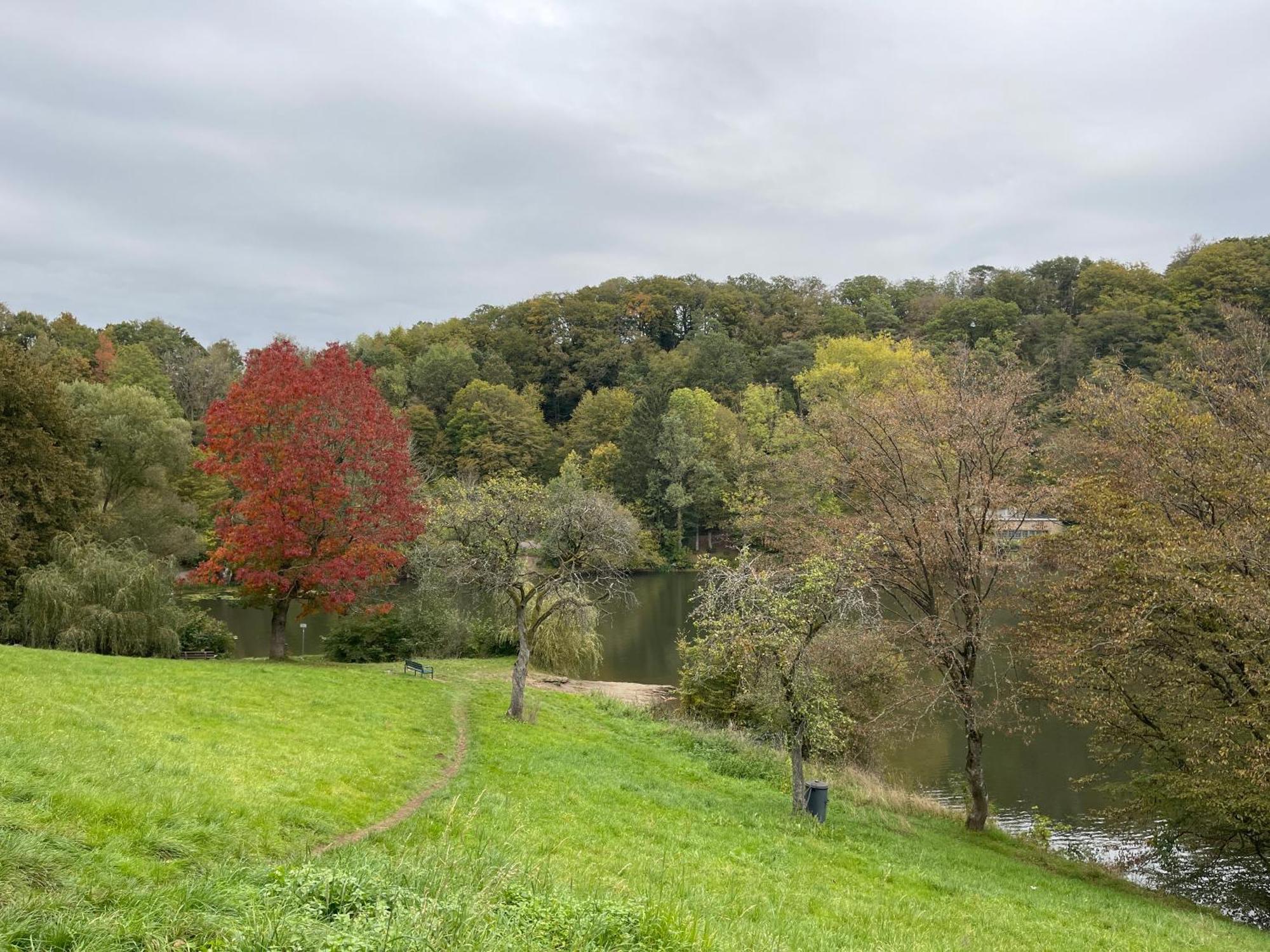 Ritterstube - Eifelstuben Mit Charme, Naehe See Und Burg, Aussergewoehnlich, Vulkaneifel 乌尔门 外观 照片