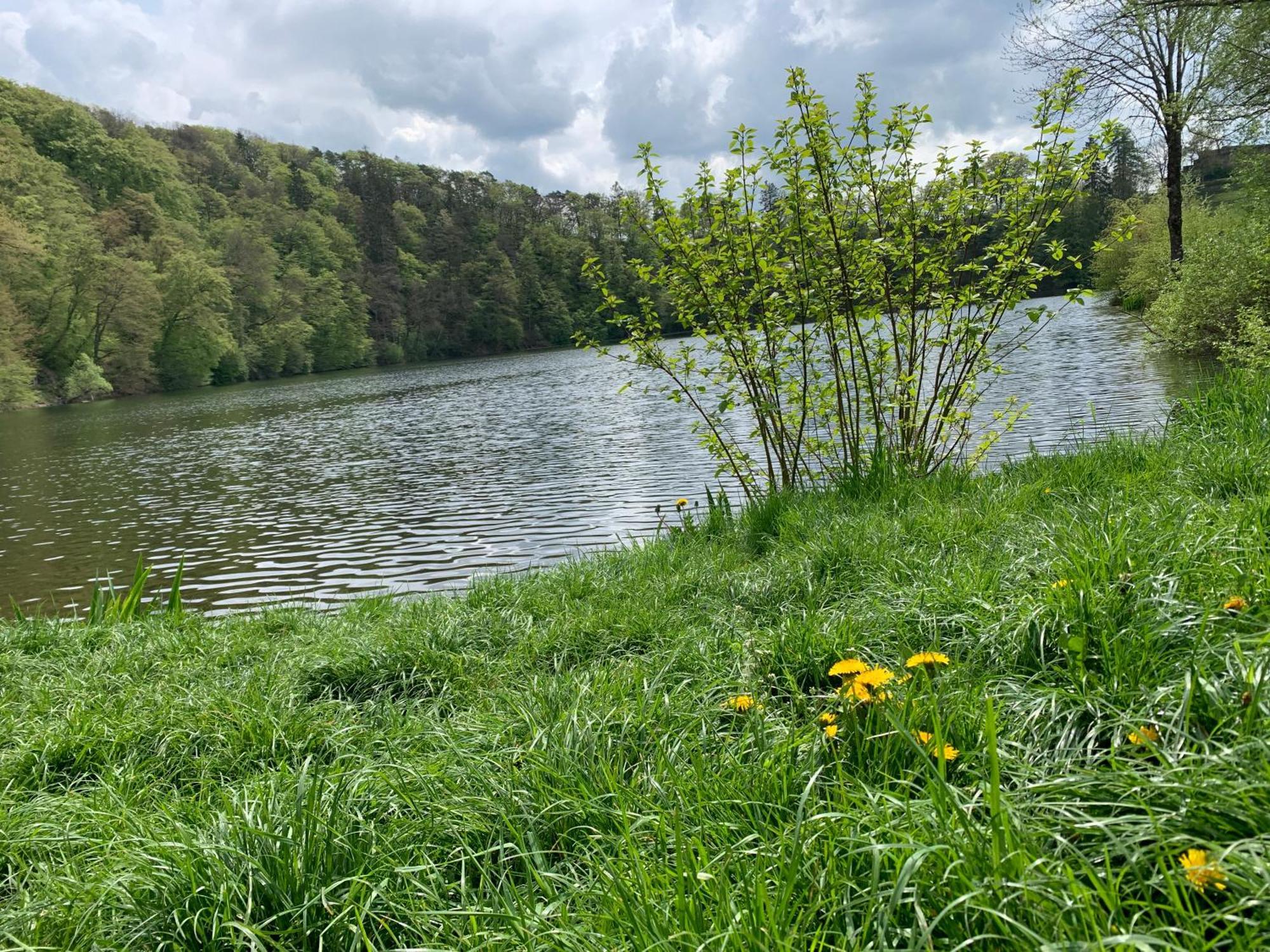 Ritterstube - Eifelstuben Mit Charme, Naehe See Und Burg, Aussergewoehnlich, Vulkaneifel 乌尔门 外观 照片